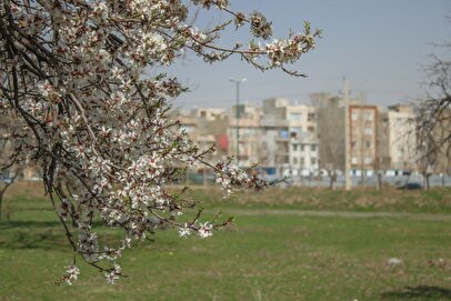 وزش بادهای شمالی میهمان روزهای بهاری قزوین 