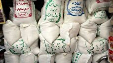 راز گرانی برنج فاش شد
